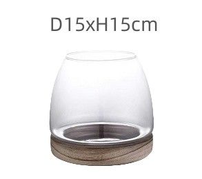 H15cm Fish Bowl Elegant Glass Vase Decor For Modern Home And Office